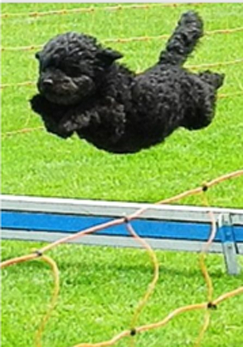 And the Winner is - Karli.jpg (497 x 709)